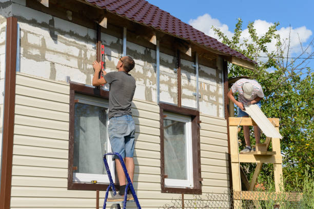 Best Siding Removal and Disposal  in Shadeland, IN